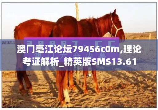 澳冂亳江论坛79456c0m,理论考证解析_精英版SMS13.61