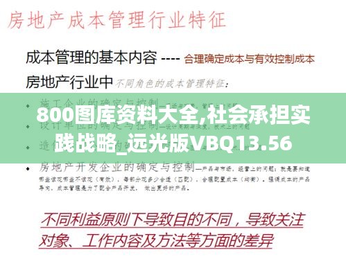 800图库资料大全,社会承担实践战略_远光版VBQ13.56