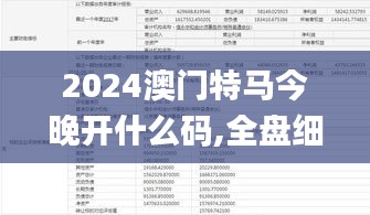 2024澳门特马今晚开什么码,全盘细明说明_创意版TYR13.72