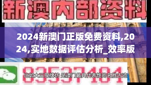 2024新澳门正版免费资料,2024,实地数据评估分析_效率版NKE13.59