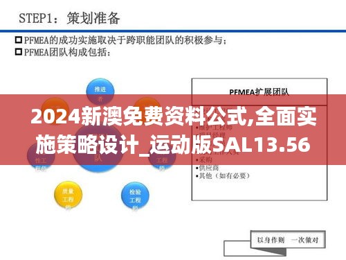 2024新澳免费资料公式,全面实施策略设计_运动版SAL13.56