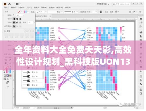 全年资料大全免费天天彩,高效性设计规划_黑科技版UON13.73