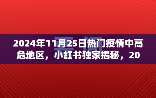 小红书独家揭秘，2024年11月25日疫情中高危地区深度解析与观察