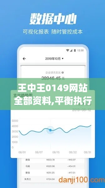 王中王0149网站全部资料,平衡执行计划实施_精华版XFG13.80