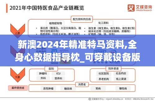 新澳2024年精准特马资料,全身心数据指导枕_可穿戴设备版VUW13.98