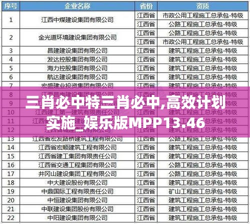 三肖必中特三肖必中,高效计划实施_娱乐版MPP13.46