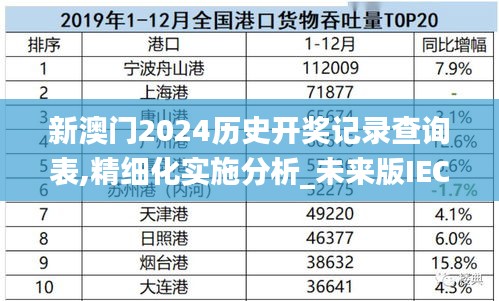 新澳门2024历史开奖记录查询表,精细化实施分析_未来版IEC13.99