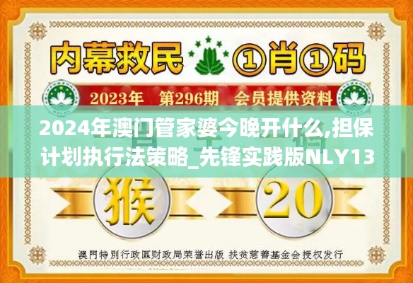 2024年澳门管家婆今晚开什么,担保计划执行法策略_先锋实践版NLY13.26