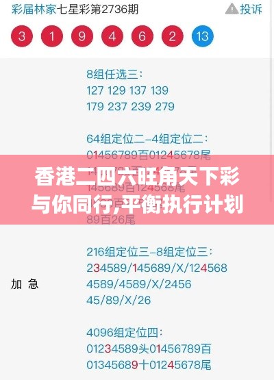 香港二四六旺角天下彩与你同行,平衡执行计划实施_车载版KIJ13.11