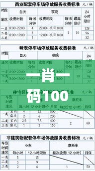 一肖一码100%中,策略优化计划_快速版WZC13.83