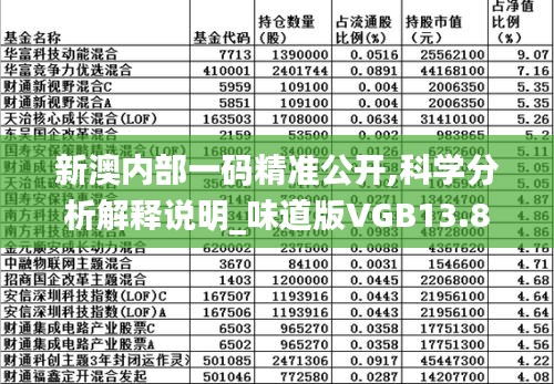 新澳内部一码精准公开,科学分析解释说明_味道版VGB13.83