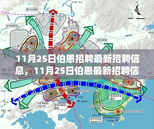 11月25日伯恩招聘最新信息汇总，职场精英的福音