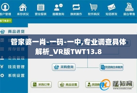 管家婆一肖-一码-一中,专业调查具体解析_VR版TWT13.8