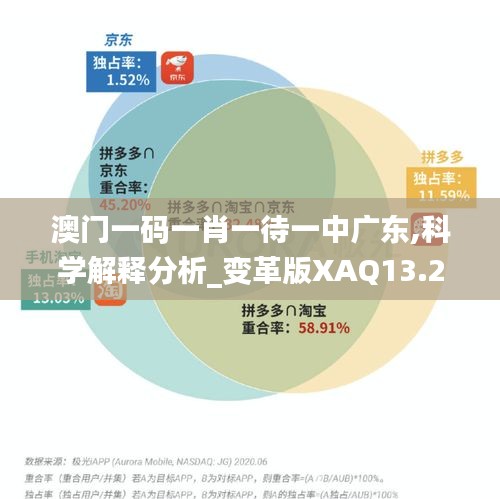 澳门一码一肖一待一中广东,科学解释分析_变革版XAQ13.21