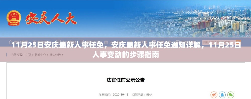 安庆人事任免最新动态，11月25日人事变动详解与步骤指南