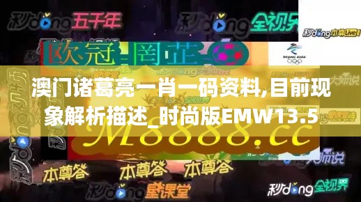 澳门诸葛亮一肖一码资料,目前现象解析描述_时尚版EMW13.5