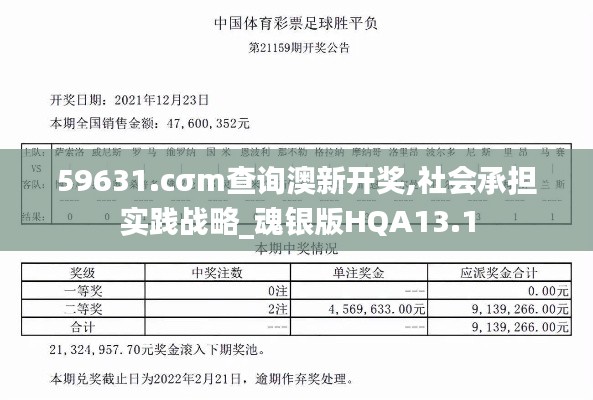 59631.cσm查询澳新开奖,社会承担实践战略_魂银版HQA13.1