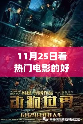 11月25日热门电影网站之旅，光影中的成长与自信之源