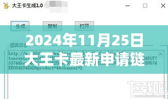 2024年大王卡最新动态解析与申请链接