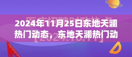 2024年11月25日东地天澜热门动态概览与解析