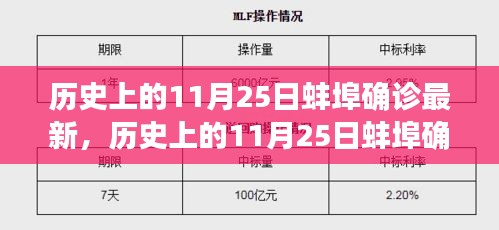 历史上的蚌埠确诊事件深度解析，聚焦蚌埠市确诊案例与事件回顾