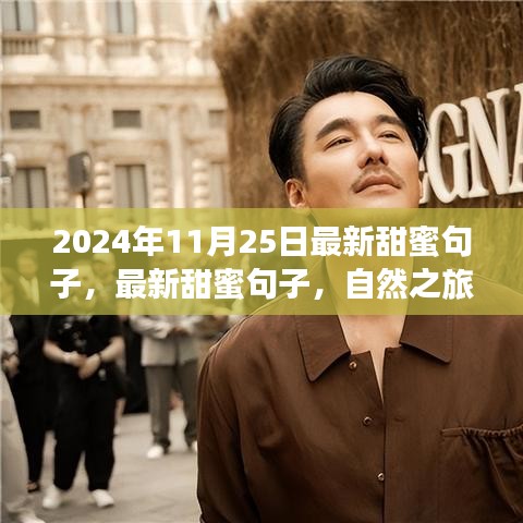 最新甜蜜句子与心灵之旅，寻找宁静微笑的自然之旅（2024年11月25日）