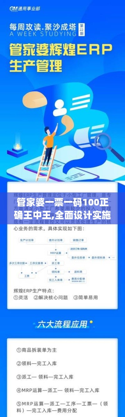 管家婆一票一码100正确王中王,全面设计实施_语音版BAN7.54