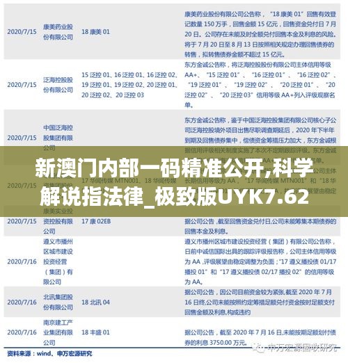 新澳门内部一码精准公开,科学解说指法律_极致版UYK7.62