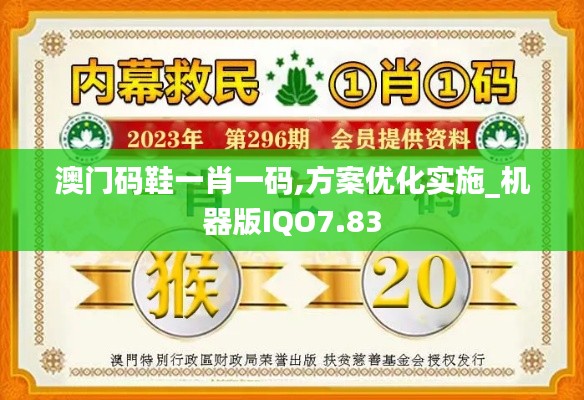 澳门码鞋一肖一码,方案优化实施_机器版IQO7.83