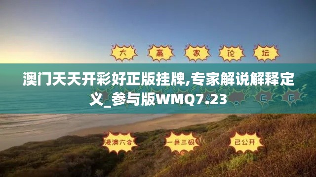 澳门天天开彩好正版挂牌,专家解说解释定义_参与版WMQ7.23