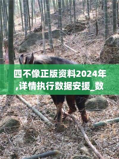 四不像正版资料2024年,详情执行数据安援_数字处理版UJU7.1