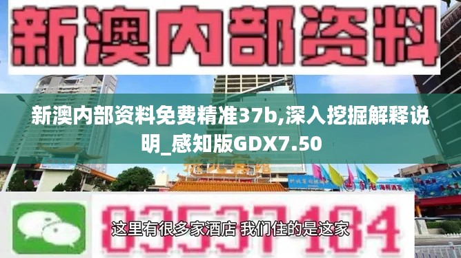 新澳内部资料免费精准37b,深入挖掘解释说明_感知版GDX7.50