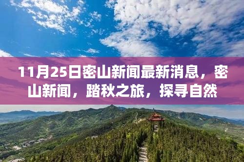 11月25日密山新闻热点，踏秋探寻自然秘境，重拾心灵宁静