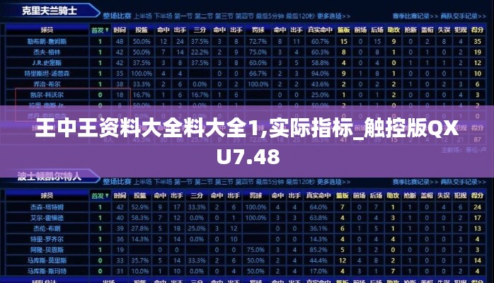 王中王资料大全料大全1,实际指标_触控版QXU7.48