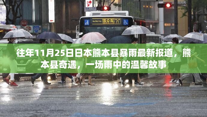 熊本县暴雨奇遇，雨中温馨故事揭秘