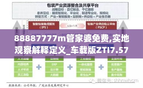 88887777m管家婆免费,实地观察解释定义_车载版ZTI7.57