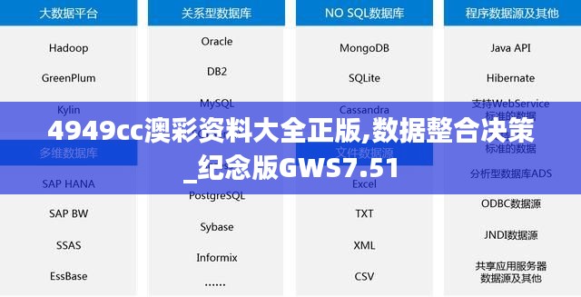 4949cc澳彩资料大全正版,数据整合决策_纪念版GWS7.51