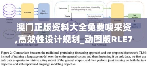 澳门正版资料大全免费噢采资,高效性设计规划_动图版RLE7.37