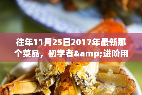 家常炖羊肉制作指南，适合初学者与进阶用户的热门菜品 2017年最新菜品详解