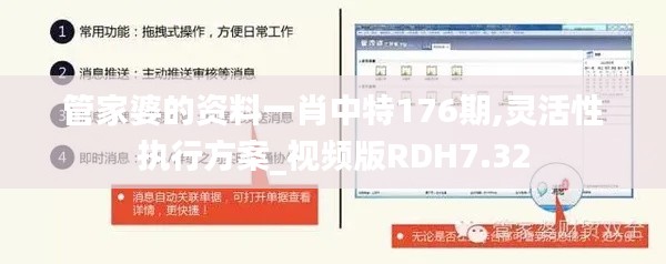 管家婆的资料一肖中特176期,灵活性执行方案_视频版RDH7.32