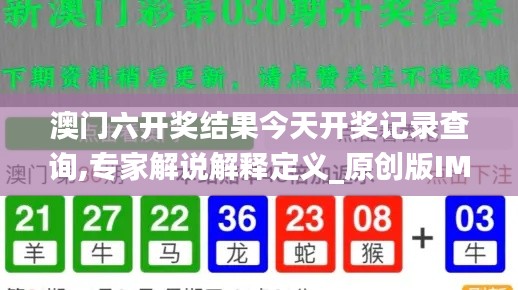 澳门六开奖结果今天开奖记录查询,专家解说解释定义_原创版IMB7.90