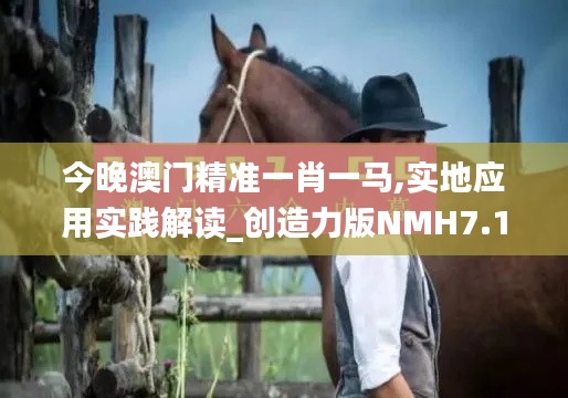 今晚澳门精准一肖一马,实地应用实践解读_创造力版NMH7.1