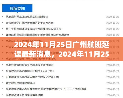 2024年11月25日广州航班延误最新消息及应对指南，旅客如何应对延误情况获取最新消息