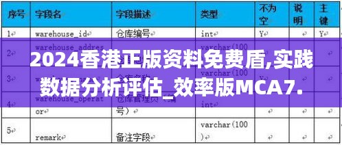 2024香港正版资料免费盾,实践数据分析评估_效率版MCA7.49