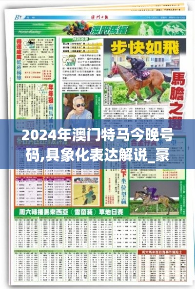 2024年澳门特马今晚号码,具象化表达解说_豪华款QDD7.31