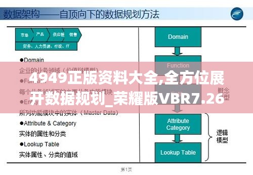 4949正版资料大全,全方位展开数据规划_荣耀版VBR7.26