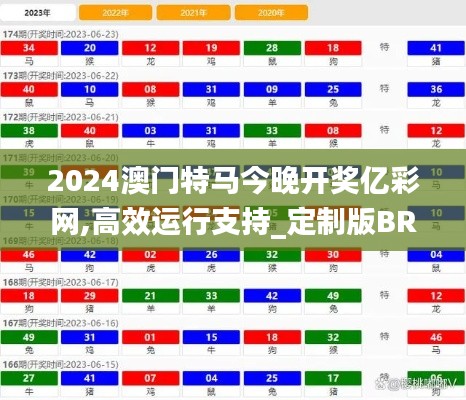 2024澳门特马今晚开奖亿彩网,高效运行支持_定制版BRT7.64