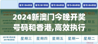 2024新澳门今晚开奖号码和香港,高效执行方案_钻石版GKK7.48