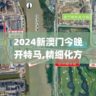 2024新澳门今晚开特马,精细化方案决策_社区版FZM7.21