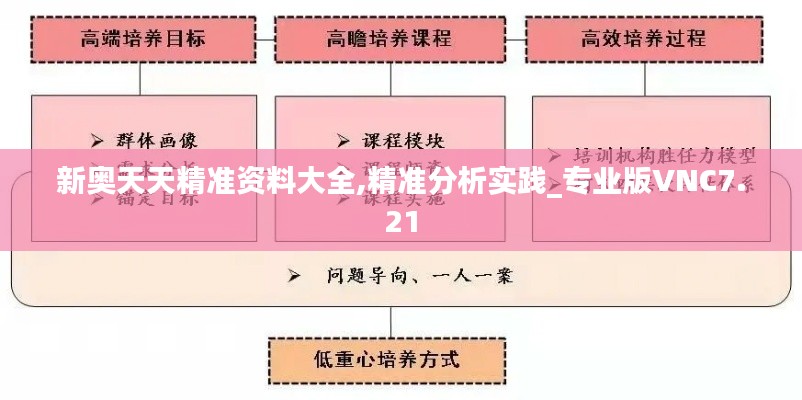 新奥天天精准资料大全,精准分析实践_专业版VNC7.21